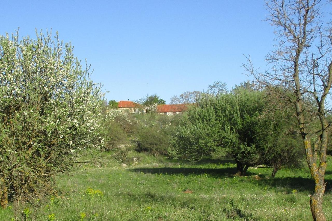Arcadian Stone House In A Quiet Landscape, Leonidion Villa Poúlithra Eksteriør bilde